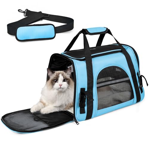 Katzentransportbox,Atmungsaktive Hundebox Faltbar,Haustier Transporttasche Mit Schultergurt Verstellbarem,Katzenrucksack Big Transportbox Katze Mit Abnehmbarer Plüschmatratze FüR Reisen/Auto/Flugzeug von PAT JUUMG