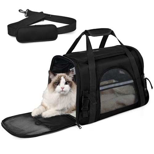 Katzentransportbox,Atmungsaktive Hundebox Faltbar,Haustier Transporttasche Mit Schultergurt Verstellbarem,Katzenrucksack Big Transportbox Katze Mit Abnehmbarer Plüschmatratze FüR Reisen/Auto/Flugzeug von PAT JUUMG