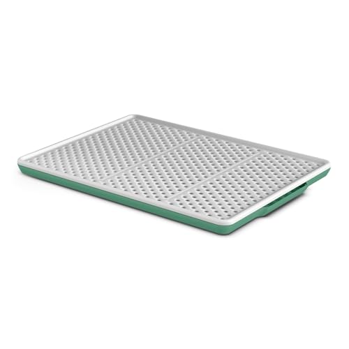 PATAM Doppelschichtige starre Matte mit Anti-Rutsch-Sieb, Schweinesparsieb für Katzentoilette, 46 cm x 36 cm x 3 cm, Made in Italy – Champion Grün PATAM Doppelschichtige starre Matte mit Anti-Rutsch-Sieb, Schweinesparsieb für Katzentoilette, 46 cm x 36 cm x 3 cm, Made in Italy – Champion Grün von PATAM