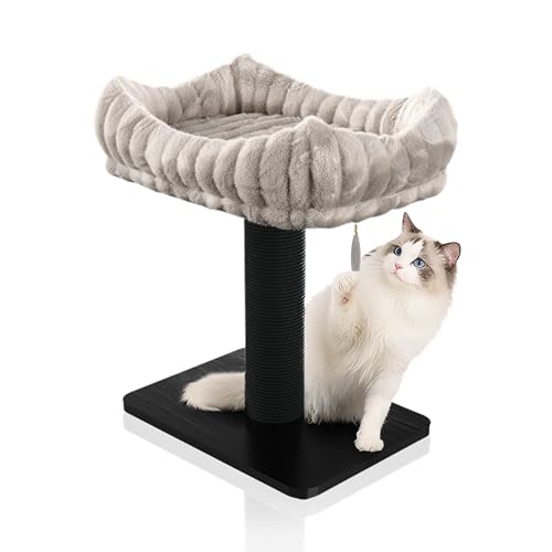 Moderner Kratzbaum für Indoor-Katzen, 38,1 cm hoher Katzenkratzbaum mit Bettrassen, 39,9 x 29,5 cm, abnehmbares und waschbares Kissen (schwarzer Pfosten mit grauem Bett) von PATHOSIO PETS
