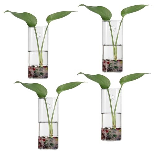 PATIKIL Pflanzenterrarium-Pflanzgefäße 5,9x2,4 Zoll, 4er-Pack Quadratischer Röhrenvase-Wandhängender Glas-Pflanzer für hydroponische Büro-Heimdekoration innen, Transparent von PATIKIL