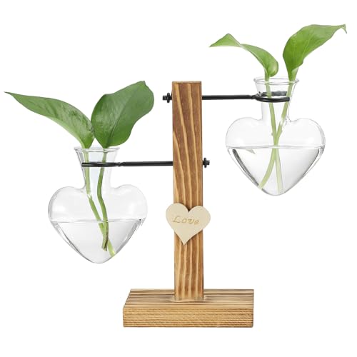 PATIKIL Retro Desktop Pflanzenterrarium 19x20cm, Metall-Drehhalter mit Holztablett 2 Glühbirnen-Blumenvase für hydroponische Büro- und Heimdekoration Pflanzen drinnen von PATIKIL