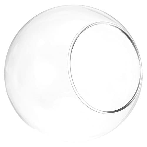 PATIKIL Runde Kugel Terrasse Luftpflanze 4" Hoch Borosilikatglas Tisch Dekoration Klar von PATIKIL