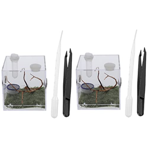 PATKAW 2 Sätze Spinnen Terrarium - Lebewesenkäfig Reptilienbehälter Futterkasten Für Insekten Klare Lebensraumbox Für Spinnen Kuscheltier Schnecke Zuchtbox Schnecken Acryl Gefängnisausbruch PATKAW 2 Sätze Spinnen Terrarium - Lebewesenkäfig Reptilienbehälter Futterkasten Für Insekten Klare Lebensraumbox Für Spinnen Kuscheltier Schnecke Zuchtbox Schnecken Acryl Gefängnisausbruch von PATKAW