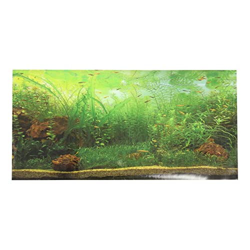 PATKAW Aquarium-hintergrundaufkleber Fischbecken Bild Doppelseitiger Hintergrund Aquarien Hintergrund Fischbecken Landschaftsbild Aquarienkulisse Wandaufkleber 3D Entfernbar Papier von PATKAW