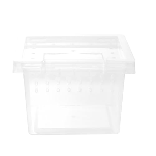 PATKAW Transparente Reptilienzuchtbox 2 75 X 2 5 cm 75X1. 77-Zoll-Futterbox Aus Kunststoff Für Eidechsen Praktische Futterbox Für Haustiere Für Spinnen Skorpione Geckos Schildkröten von PATKAW