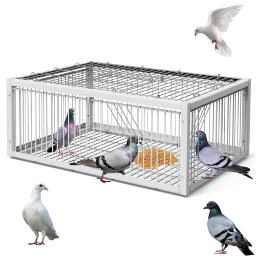 PAUQRWIE Taubenfalle Käfig Vogelfallen für kleine Vögel Faltbarer Einwege-Eingang Falle Tragbare U-Falle Tür für Taube Wildzucht Versorgung Taubenstall PAUQRWIE Taubenfalle Käfig Vogelfallen für kleine Vögel Faltbarer Einwege-Eingang Falle Tragbare U-Falle Tür für Taube Wildzucht Versorgung Taubenstall von PAUQRWIE