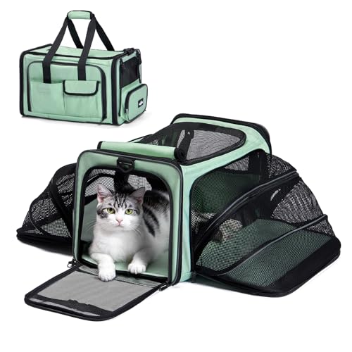 Paw Ballet Katzentragetasche, von Fluggesellschaften zugelassen, Haustier-Tragetasche, weich, 2 Seiten, erweiterbar, für Katzen und Hunde unter 9 kg von PAW BALLET