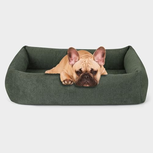 PAW WOW Emma Hundebett | Orthopädisches Hundebett | Hundekörbchen für kleine und mittelgroße Hunde (Olive, 80x60cn) von PAW WOW