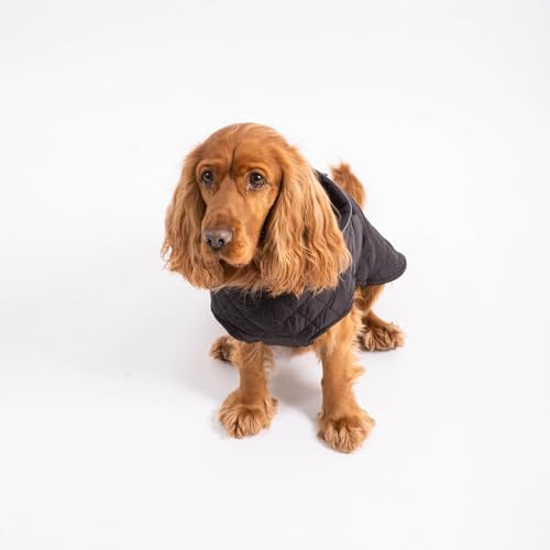 PAW WOW Fritz Hundemantel | Hundejacke mit Bauchschutz und Klettverschluss | Hundejacke Winter für kleine und mittelgroße Hunde (Schwarz, L) von PAW WOW
