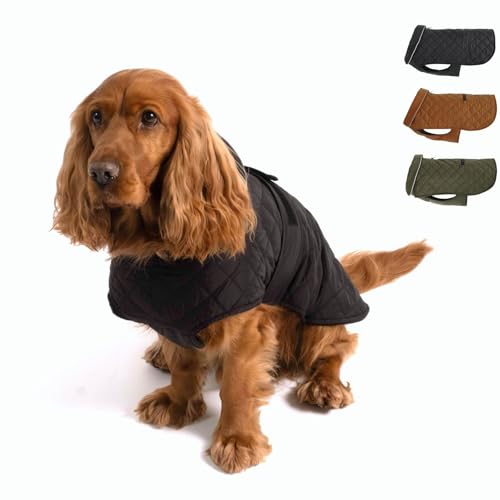 PAW WOW Fritz Hundemantel | Hundejacke mit Bauchschutz und Klettverschluss | Hundejacke Winter für kleine und mittelgroße Hunde (Schwarz, L) von PAW WOW