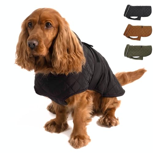 PAW WOW Fritz Hundemantel | Hundejacke mit Bauchschutz und Klettverschluss | Hundejacke Winter für kleine und mittelgroße Hunde (Schwarz, M) von PAW WOW