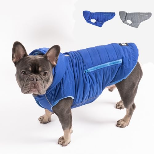 PAW WOW IMMI Hundejacke | Hundemantel | Jacke für kleine, mittelgroße und große Hunde für kalte Tage (Blau, L) von PAW WOW