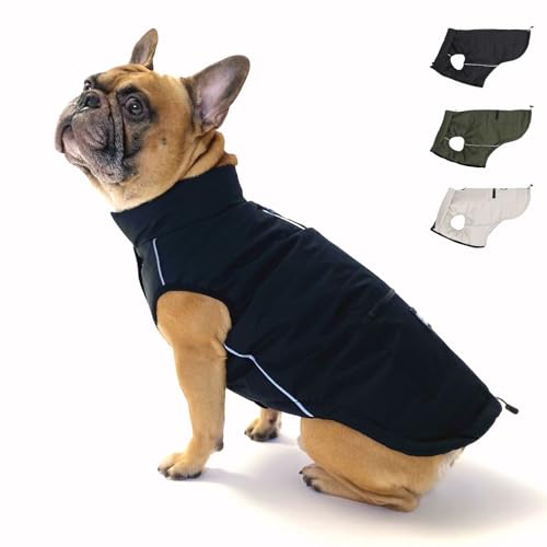 PAW WOW Toni Hundejacke | Winter Hundemantel mit Bauchschutz | Hundeweste für große & kleine Hunde (Schwarz, L) von PAW WOW