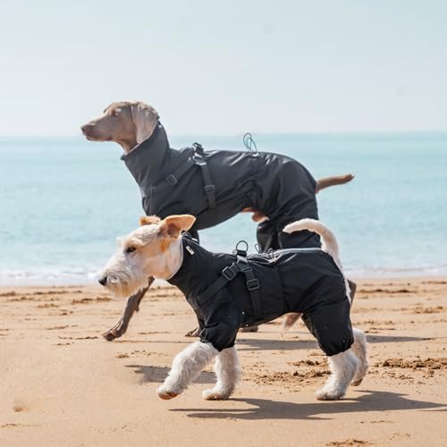 PAWBOSE Hunderegenmantel mit Geschirr für kleine und mittlere Hunde, verstellbare wasserdichte Hunderegenjacke, reflektierender regenfester Welpe 4 Beine Regenmantel Schwarz, XL PAWBOSE Hunderegenmantel mit Geschirr für kleine und mittlere Hunde, verstellbare wasserdichte Hunderegenjacke, reflektierender regenfester Welpe 4 Beine Regenmantel Schwarz, XL von PAWBOSE