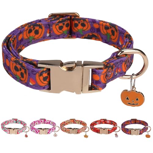 PAWCHIE Hundehalsband mit Metallschnalle, Halloween-Hundehalsbänder für Jungen, Mädchen, kleine, mittelgroße und große Hunde, verstellbar, langlebig, bequem, Haustierhalsbänder für männliche weibliche von PAWCHIE