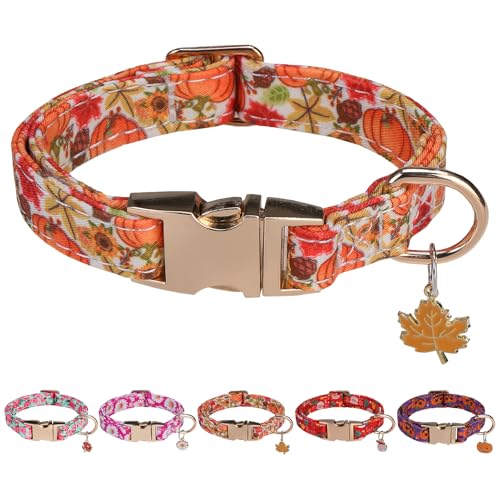 PAWCHIE Hundehalsband mit Metallschnalle, Thanksgiving-Hundehalsband für Jungen, Mädchen, kleine, mittelgroße und große Hunde, verstellbar, langlebig, bequem, Haustierhalsbänder für männliche und von PAWCHIE