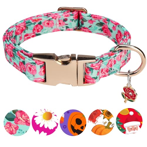 PAWCHIE Hundehalsband mit Metallschnalle, niedliche Blumen-Hundehalsbänder für Jungen, Mädchen, kleine, mittelgroße und große Hunde, verstellbar, langlebig, bequem, Haustierhalsbänder für männliche von PAWCHIE