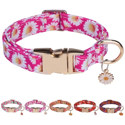 PAWCHIE Hundehalsband mit Metallschnalle, niedliche Blumen-Hundehalsbänder für Jungen, Mädchen, kleine, mittelgroße und große Hunde, verstellbar, langlebig, bequem, Haustierhalsbänder für männliche von PAWCHIE