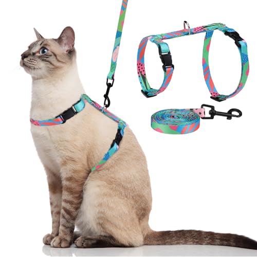 PAWCHIE Katzengeschirr mit Leine und Halsband, ausbruchsicher, verstellbar, Katzengeschirr für Kätzchen, Spaziergänge im Freien, Grün, S von PAWCHIE