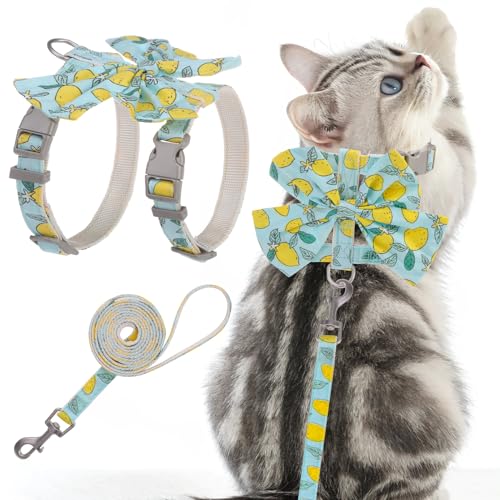 PAWCHIE Katzengeschirr und Leine, Set mit Schleifenknoten, ausbruchsicher, verstellbares Gänseblümchen-Blumenmuster, weich, Outdoor, Spaziergänge, Reisen, Haustiergeschirr, Welpengeschirr für Mädchen, von PAWCHIE