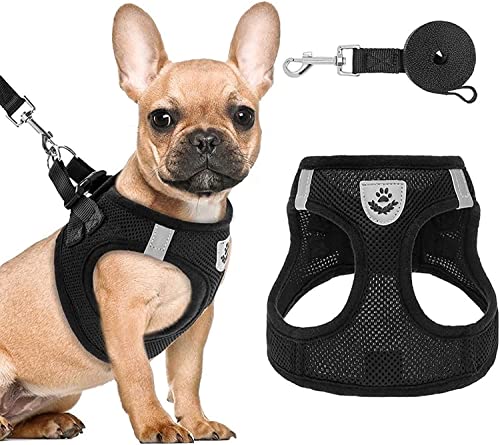 Welpengeschirr und Leine, Set – Weiches Mesh-Hundeweste, reflektierendes und verstellbares Geschirr für kleine bis mittelgroße Hunde, Katzen und Welpen Welpengeschirr und Leine, Set – Weiches Mesh-Hundeweste, reflektierendes und verstellbares Geschirr für kleine bis mittelgroße Hunde, Katzen und Welpen von PAWCHIE