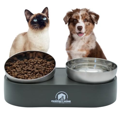 Erhöhtes Doppelnapfset für Katzen und kleine Hunde - erhöhter Hundenapf - Futternapf Katze - Wassernapf - Futternapf 15° verstellbar - Näpfe aus rostfreiem Edelstahl - Napfstation rutschfest von PAWFECT HOME ESTD 2024