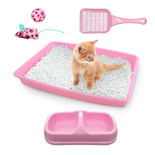 PAWISE Katzentoiletten-Set, kleines Katzenkätzchen-Starter-Set, inklusive Kitty-Katzentoilette, Katzenstreuschaufel, Doppelschale, Katzen-Maus-Spielzeug, Katzenball-Spielzeug von PAWISE