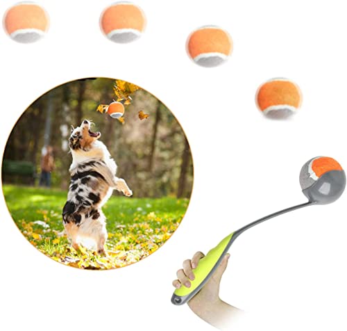 PAWISE Ballwerfer für Hunde, 31,8 cm, mit 5,8 cm Tennis, tragbarer Ballwerfer für kleine bis mittelgroße Hunde, für den Innen- und Außenbereich, langlebig und leicht zu reinigen von PAWISE