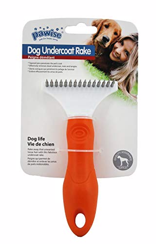 PAWISE Hundebürste Katzenbürste Unterfellbürste - mit ergonomischem Handgriff - Grün PAWISE Hundebürste Katzenbürste Unterfellbürste - mit ergonomischem Handgriff - Grün von PAWISE