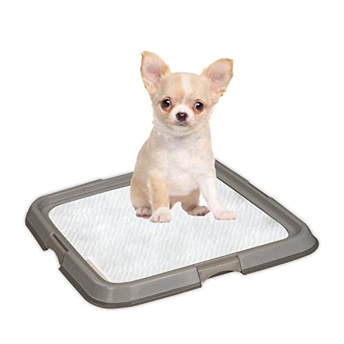 PAWISE Indoor Dog Toilet Training Pads Tray, Portable Pet Pee Pad Holder, Dog Litter Tray for Cats, Puppy Training Potty Mat with Tray, 49 * 36 cm von PAWISE
