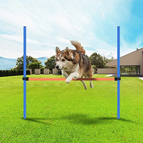 PAWISE Hundetraining Trainingsgeräte,Hund Agility Trainingsgeräte,Hund Jump Hürden Trainingsgeräte von PAWISE