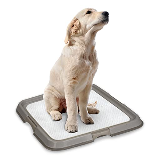 PAWISE Welpenunterlagen / Hundeunterlagen Halter, Pinkelkissenhalter, Welpenpad-Halter, Hunde-Töpfchentablett für Hundetraining für Welpen, Hunde und Katzen, 60 x 60 cm von PAWISE