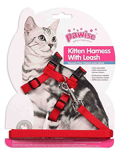 Pawise Kitten Harness Leash-Red/Blue M von PAWISE