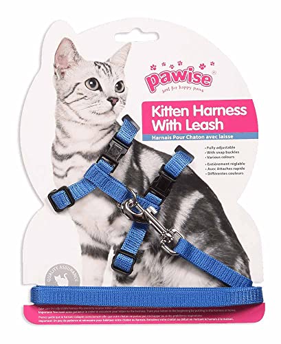 Pawise Kitten Harness Leash-Red/Blue von PAWISE