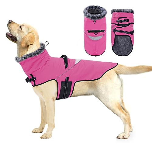 PAWIVID Wasserdichter Winter-Hundemantel - Winddichte Warme Reflektierende Jacke mit Geschirr und Traktionsschnalle für Kleine, Mittlere, Große Hunde Outdoor-Camping Wandern (Rosenrot, XL) von PAWIVID