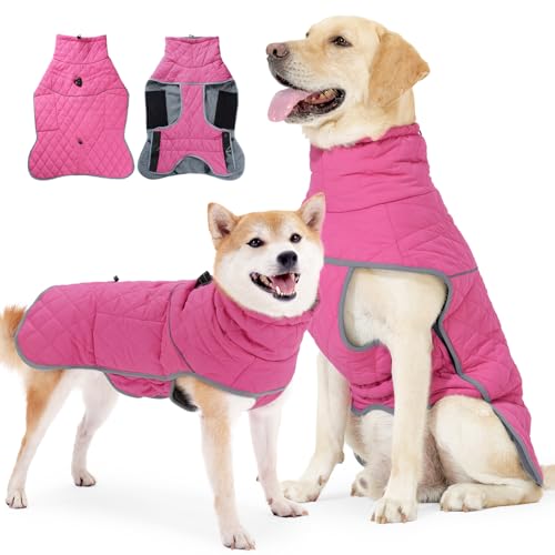 PAWIVID Winter-Hundejacke & Mantel wasserdicht mit Traktionsschnalle & reflektierenden Streifen - Super warmes Fleecefutter ideal für Wandern & Outdoor (Rosenrot, XXL) von PAWIVID