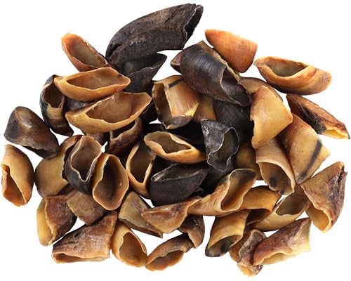 Pawlicious Getrocknete Rinderhufe für Hunde, 100 % natürliche Haustier-Leckerlis, langlebig, getreidefrei, proteinreich, Kau-Leckerlis für Zahngesundheit, 12 Stück von PAWLICIOUS