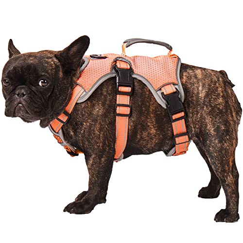 Paworld Sicherheitsgeschirr Hund Ausbruchsicher, Panikgeschirr für Hunde, Mehrzweck-Hundegeschirr, Reflektierend, Verstellbare Weste mit Griff, Hundegeschirr für Große/Mittelgroß Hunde (Orange, S) Paworld Sicherheitsgeschirr Hund Ausbruchsicher, Panikgeschirr für Hunde, Mehrzweck-Hundegeschirr, Reflektierend, Verstellbare Weste mit Griff, Hundegeschirr für Große/Mittelgroß Hunde (Orange, S) von PAWORLD