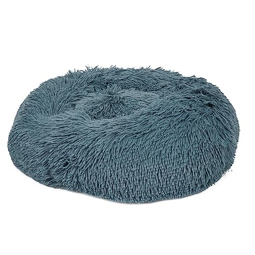 PAWPOURRI Hundebett, rund, Donut-Design, für kleine bis mittelgroße Hunde und Katzen, 100 % Polyester, Füllung aus Polyfaser, waschbar, Größe S/M, Blaugrün PAWPOURRI Hundebett, rund, Donut-Design, für kleine bis mittelgroße Hunde und Katzen, 100 % Polyester, Füllung aus Polyfaser, waschbar, Größe S/M, Blaugrün von PAWPOURRI
