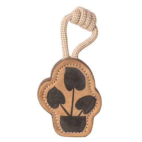 PAWPOURRI Kauspielzeug aus natürlicher Jute für ausgewachsene Hunde, Welpen, robust, langlebig und lustig, interaktives Kauspielzeug für Haustiere (Pflanzenform) von PAWPOURRI