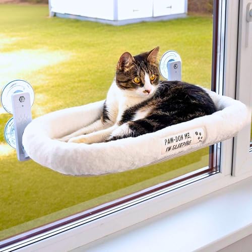 PAWRUSH Cat Window Perch — Cat Window Bed with 4 Large Premium Suction Cups & Soft Solid Cushion; Strong Rustproof Metal Frame Window Hammock Holding Up to 40 lbs; Easy Assembly Perch for Indoor Cats von PAWRUSH