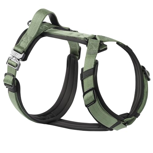 PawsPassion Hundegeschirr für XL-Hunde, kaufeste Metallbeschläge, einfaches Spazierengehen, ergonomisches Y-förmiges Design, weiche Polsterung, gepolsterter Griff, strapazierfähiges hochfestes Nylon PawsPassion Hundegeschirr für XL-Hunde, kaufeste Metallbeschläge, einfaches Spazierengehen, ergonomisches Y-förmiges Design, weiche Polsterung, gepolsterter Griff, strapazierfähiges hochfestes Nylon von PAWS PASSION
