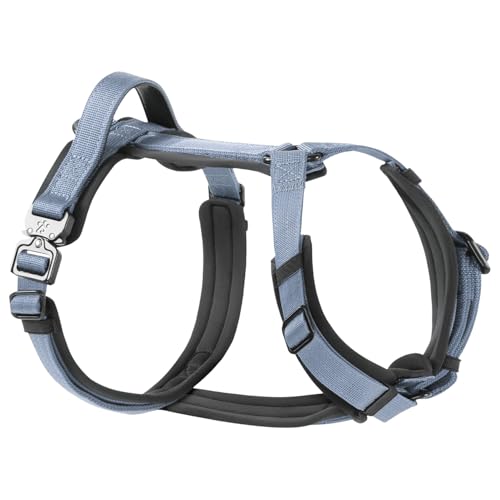 PawsPassion Hundegeschirr für große Hunde, kein Ziehen, leichtes Gehen mit Metallbeschlägen, ergonomisches Y-förmiges Design, weiche Polsterung, gepolsterter Griff, strapazierfähiges hochfestes Nylon von PAWS PASSION