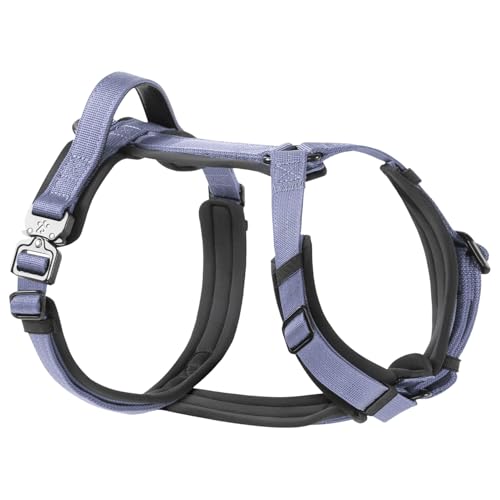 PawsPassion Hundegeschirr für kleine Hunde, kein Ziehen, leichtes Gehen mit Metallbeschlägen, ergonomisches Y-förmiges Design, weiche Polsterung, gepolsterter Griff, strapazierfähiges hochfestes Nylon von PAWS PASSION