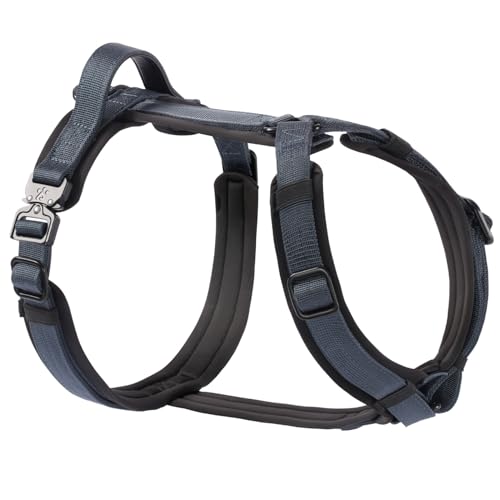 PawsPassion Hundegeschirr für mittelgroße Hunde, kaufeste Metallbeschläge, leicht zu Fuß zu gehen, ergonomisches Y-förmiges Design, weiche Polsterung, gepolsterter Griff, strapazierfähiges hochfestes von PAWS PASSION