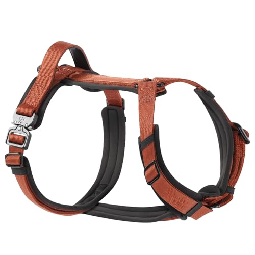 PawsPassion Hundegeschirr für mittelgroße Hunde, kaufeste Metallbeschläge, leicht zu Fuß zu gehen, ergonomisches Y-förmiges Design, weiche Polsterung, gepolsterter Griff, strapazierfähiges hochfestes PawsPassion Hundegeschirr für mittelgroße Hunde, kaufeste Metallbeschläge, leicht zu Fuß zu gehen, ergonomisches Y-förmiges Design, weiche Polsterung, gepolsterter Griff, strapazierfähiges hochfestes von PAWS PASSION