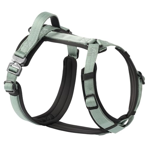 PawsPassion Hundegeschirr für mittelgroße Hunde, kaufeste Metallbeschläge, leicht zu Fuß zu gehen, ergonomisches Y-förmiges Design, weiche Polsterung, gepolsterter Griff, strapazierfähiges hochfestes PawsPassion Hundegeschirr für mittelgroße Hunde, kaufeste Metallbeschläge, leicht zu Fuß zu gehen, ergonomisches Y-förmiges Design, weiche Polsterung, gepolsterter Griff, strapazierfähiges hochfestes von PAWS PASSION