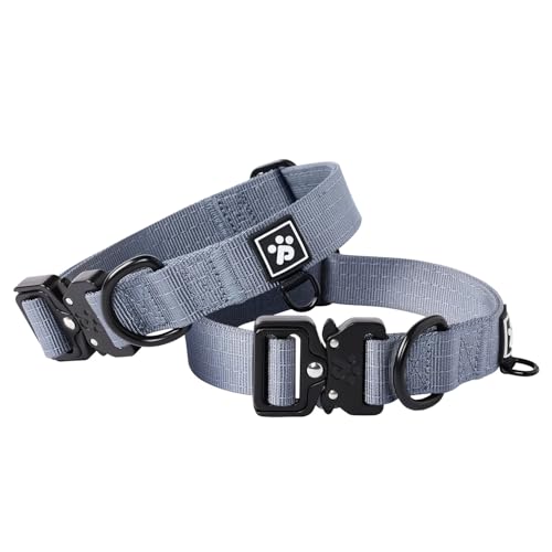 PawsPassion Robustes Hundehalsband für kleine Hunde, kaufeste Metallbeschläge, verstärktes Nylon-Hundehalsband mit Metall-Schnellverschluss-Schnalle, D-Ring für Hundemarke (Horizon, S) von PAWS PASSION
