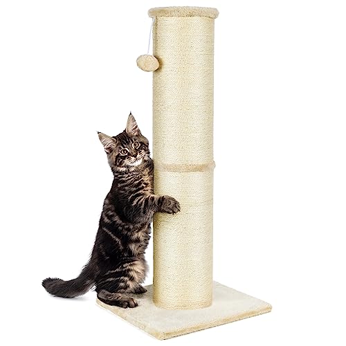 PAWSCRAT Kratzbaum für Katzen, 81,3 cm hoch, 14 cm großer Durchmesser, natürlicher Sisal, Kratzfest und langlebig, hoher Katzenkratzbaum für Indoor-Katzen, schützen Sie Ihre Möbel, Beige PAWSCRAT Kratzbaum für Katzen, 81,3 cm hoch, 14 cm großer Durchmesser, natürlicher Sisal, Kratzfest und langlebig, hoher Katzenkratzbaum für Indoor-Katzen, schützen Sie Ihre Möbel, Beige von PAWSCRAT